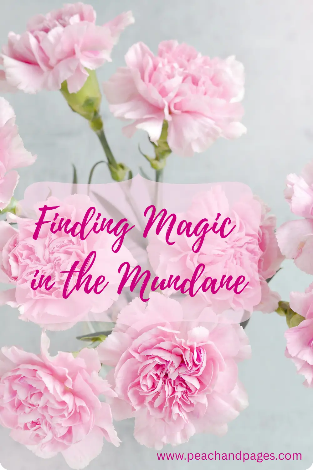 Finding Magic in the Mundane