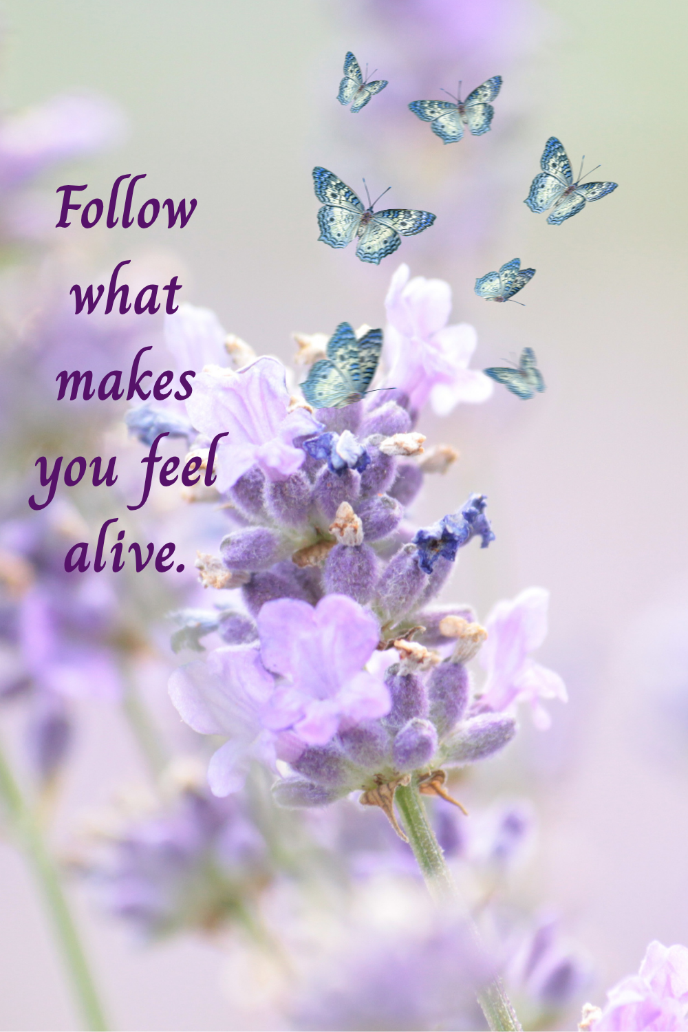 Ignite Your Passion: Follow What Makes You Feel Alive.