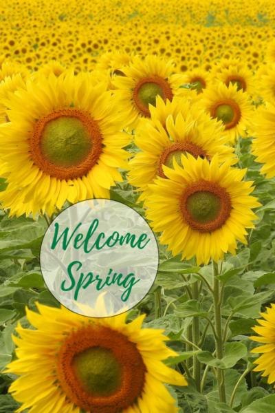 Spring, a New Season, New Energy.