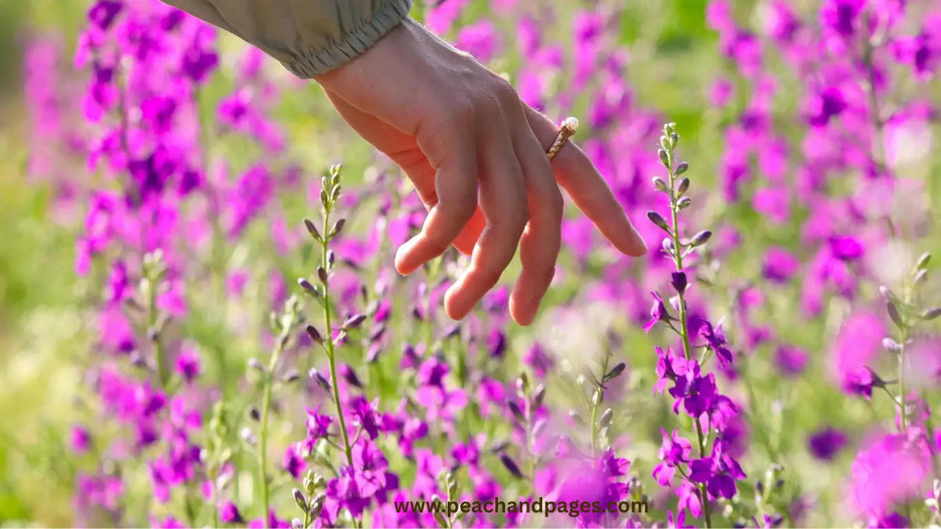 10 Simple Ways to Appreciate Life Right Now